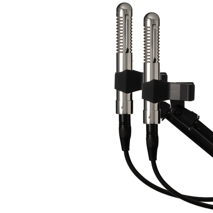Warm Audio WA-2FT Fen-Tone Instrument Ribbon Microphone With Selectable In-Line Preamp - Stereo Pair