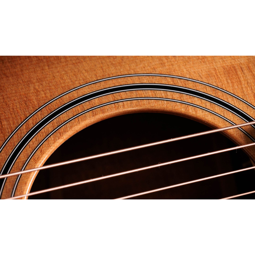 Taylor 314ce Studio Special Edition (SEB)