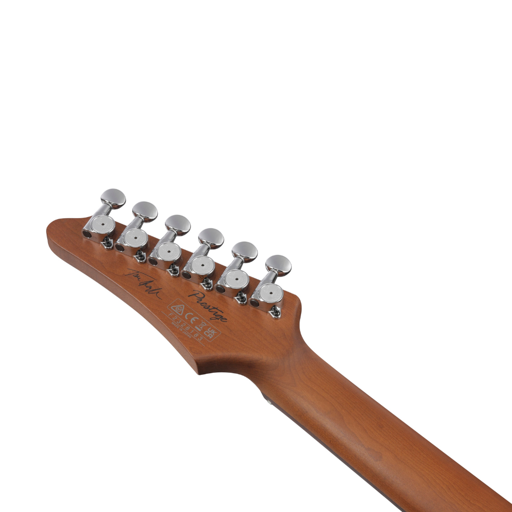 Ibanez Tom Quayle Signature (Charcol Black Burst Flat) TQM2CUF