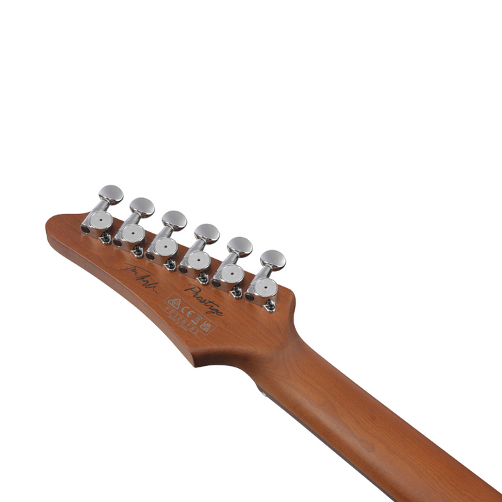 Ibanez Tom Quayle Signature (Charcol Black Burst Flat) TQM2CUF