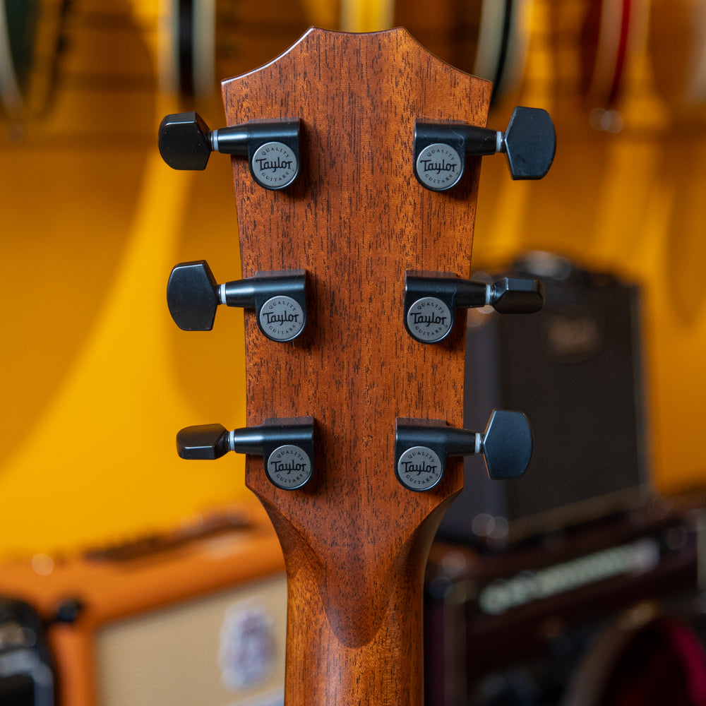 Taylor - 324ce - Mahogany Ash AC Electric w/ OHSC - 2018 - Used