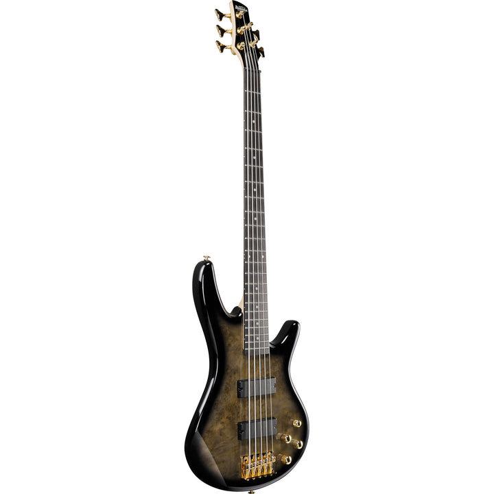 Ibanez Gio SR 5-String Bass (Transparent Pale Black Burst) GSR205PCTPB