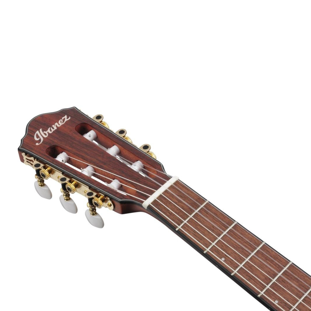 Ibanez Acoustic-Electric (Indigo Blue Metallic Flat) FRH10N