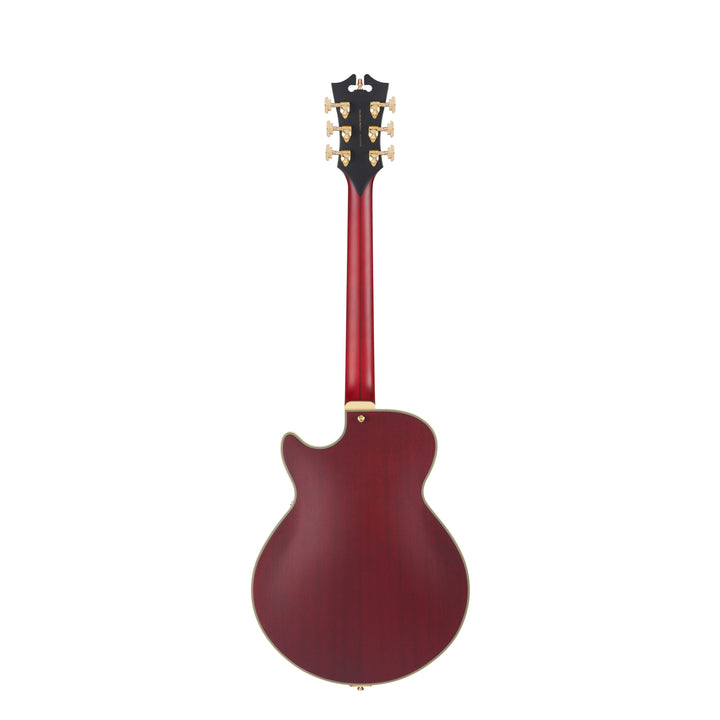 D'Angelico Single Cutaway