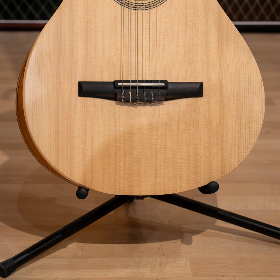 Taylor Academy 12-N Acoustic Guitar - Lutz Spruce Top