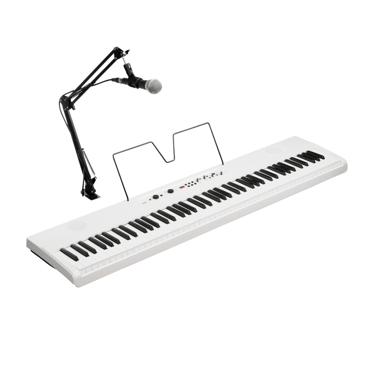 Korg L1LIVE - Liano Live Digital Piano w/Mic