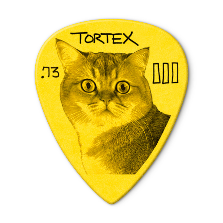 Dunlop PG462R Paul Gilbert Custom Tortex TIII Pick 0.73mm – 36 Pack