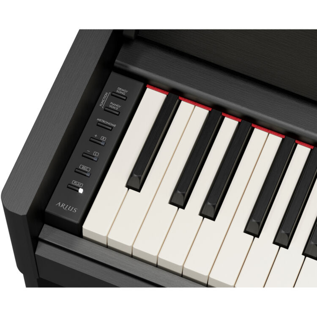 Yamaha YDPS56 B 88-Key Dgital Piano (Black)