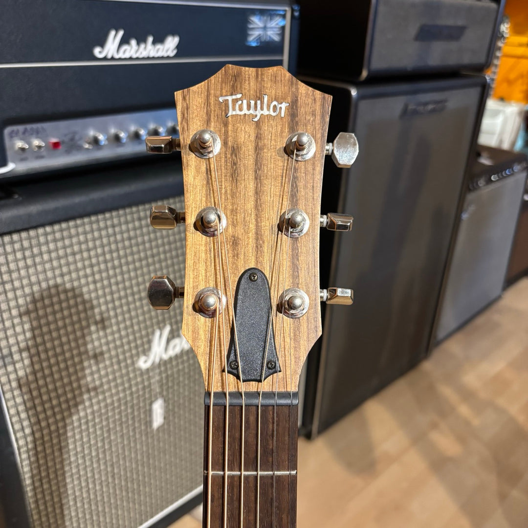 Taylor - "GTE"  Urban Ash Acoustic Guitar (Demo)