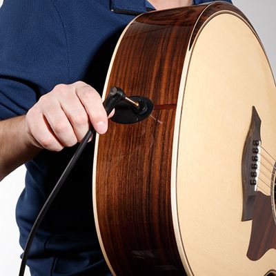 D'Addario PW-AMSGRR-30 American Stage Inst  Rr 30Ft