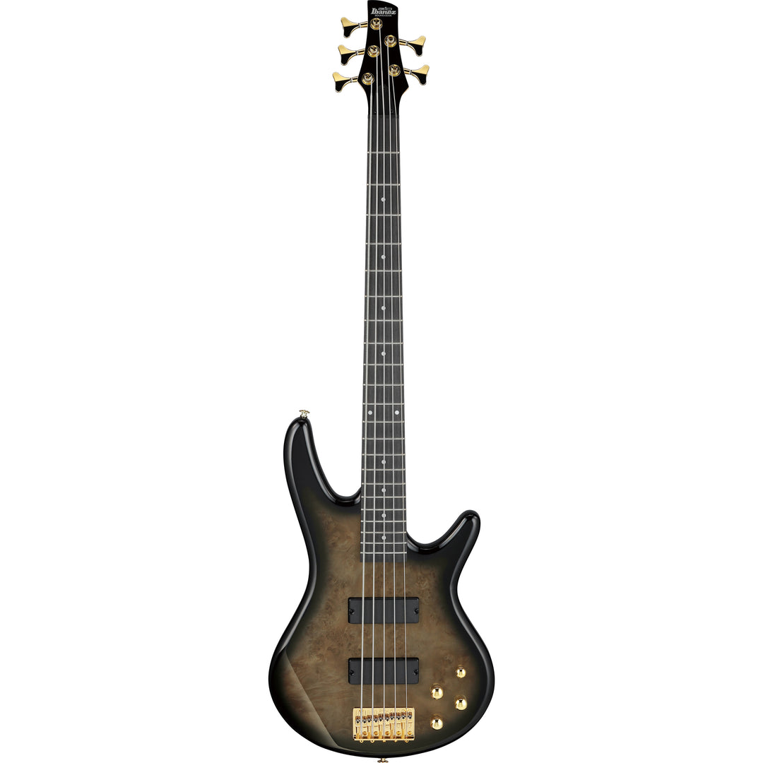 Ibanez Gio SR 5-String Bass (Transparent Pale Black Burst) GSR205PCTPB