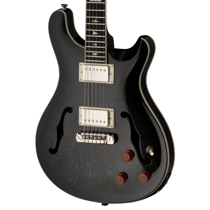 PRS SE Hollowbody Standard Piezo (Dog Hair Smokeburst)  w/ Hardshell Case