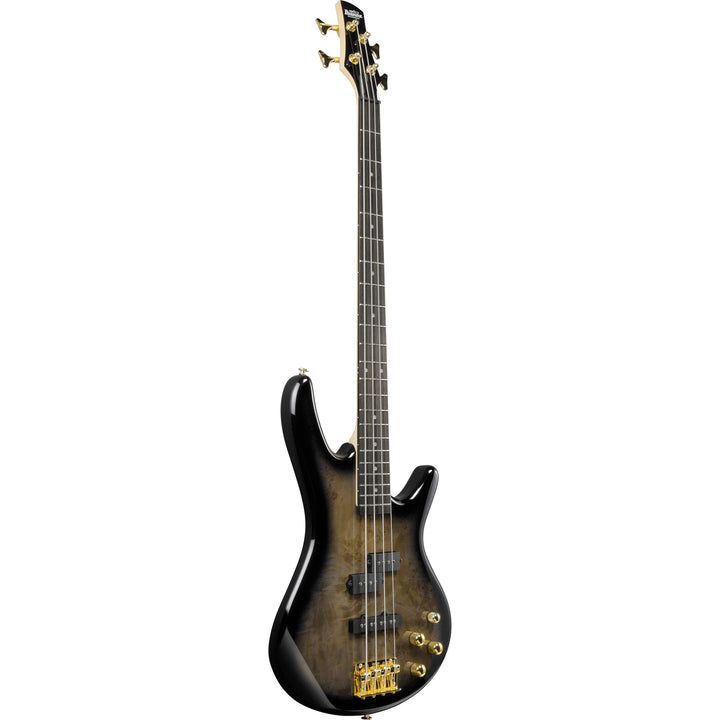 Ibanez Gio SR Electric Bass (Transparent Pale Black Burst) GSR200PCTPB