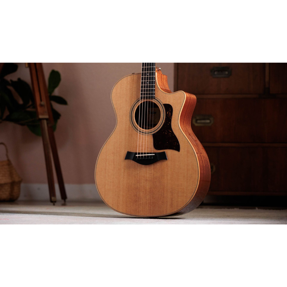 Taylor 314ce Studio Special Edition - Natural