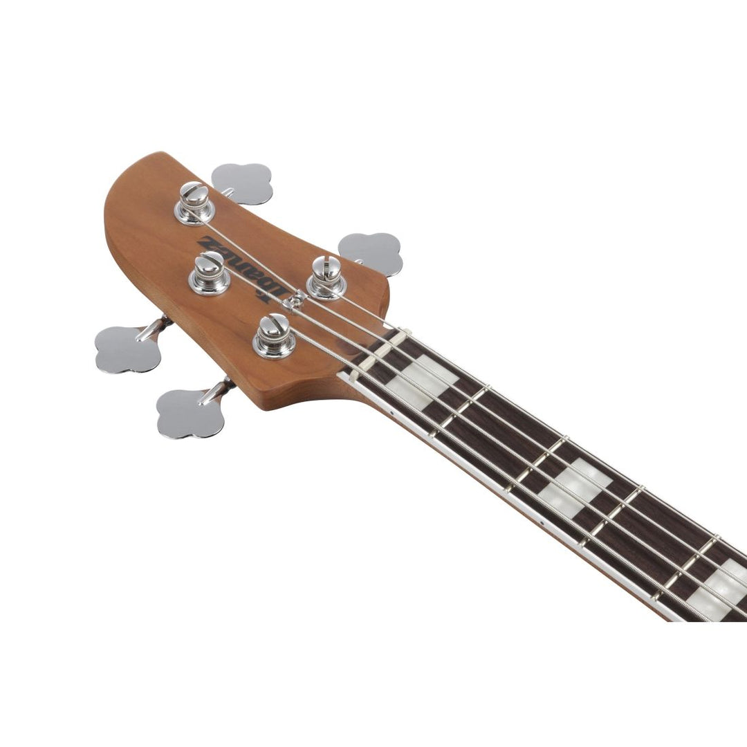 Ibanez Talman Standard Bass (Iced Americano Burst)