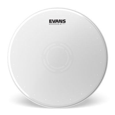 Evans B13HWD 13" Heavyweight Dry Ctd