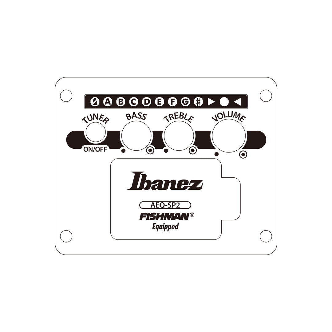 Ibanez Acoustic/Electric (Black Out) AEWC621BOT