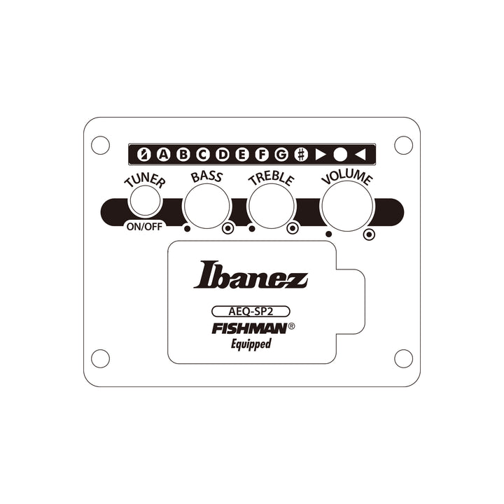Ibanez Acoustic/Electric (Black Out) AEWC621BOT