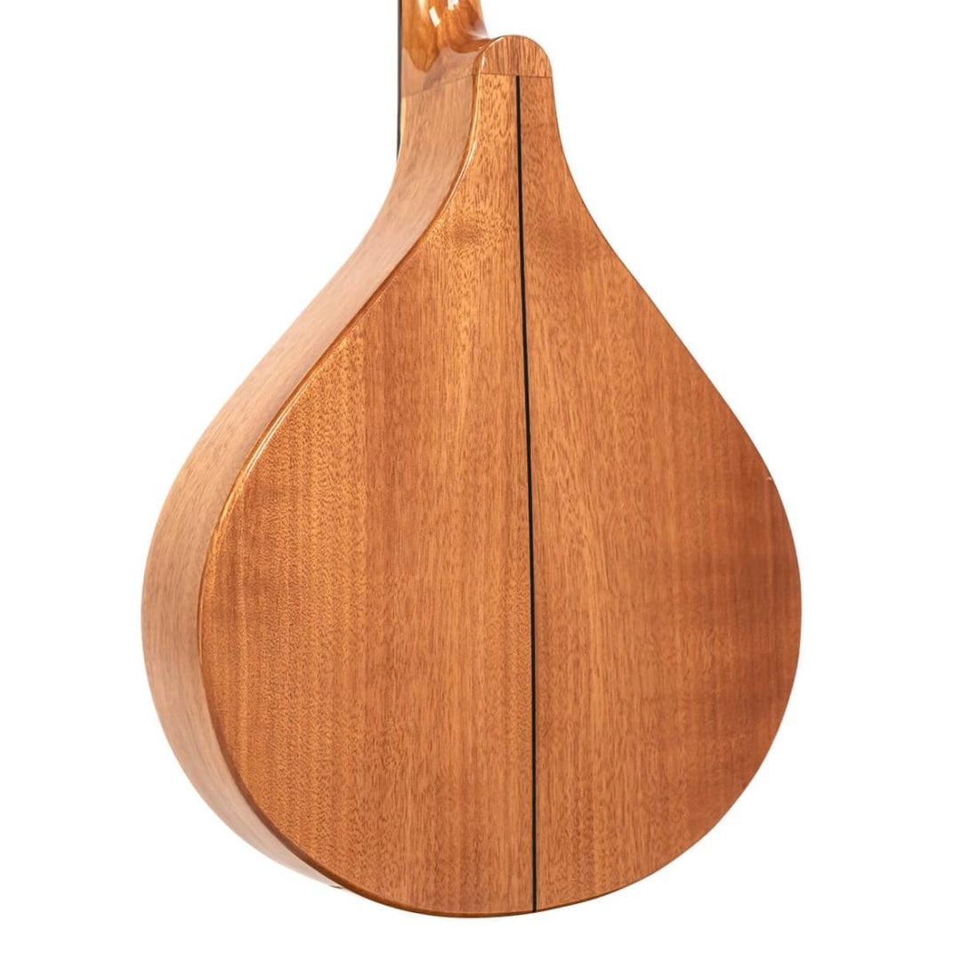 Gold Tone Gt Irish Bouzouki Mandolin with Case