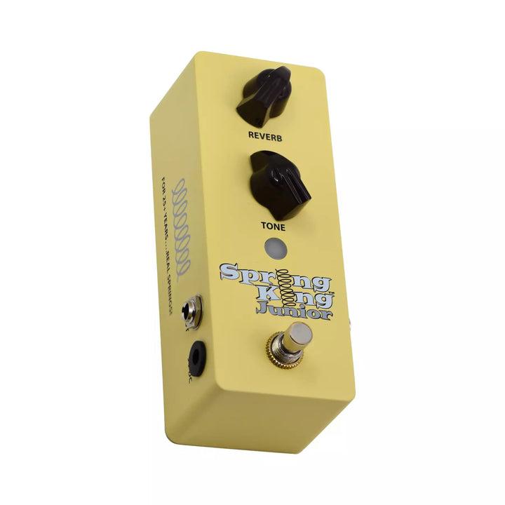 D'Addario D-SKJ-1 Spring King Junior
