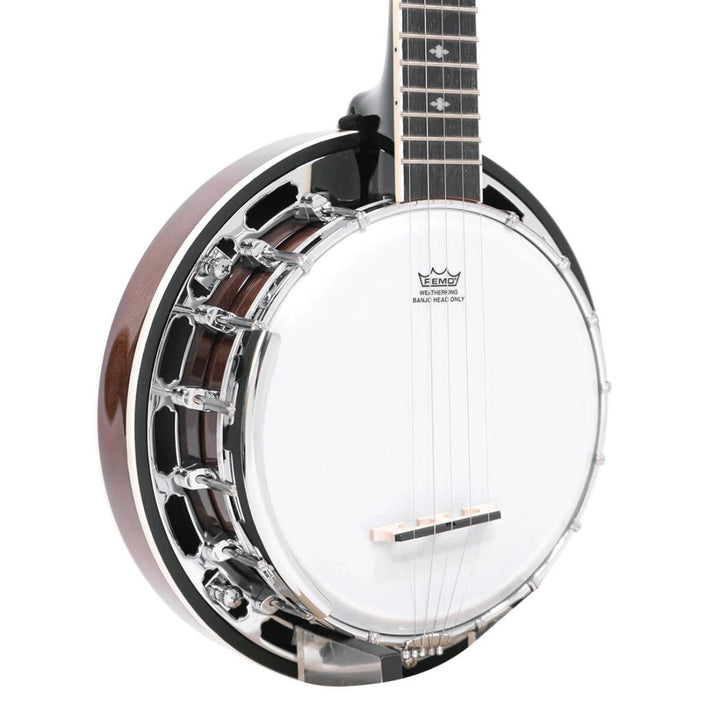 Gold Tone Gt Bluegrass Mini Banjo with Gig Bag