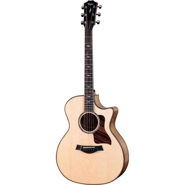 Taylor 814ce Special Edition Acoustic-Electric Guitar (Sassafras/Sitka Bearclaw Top)