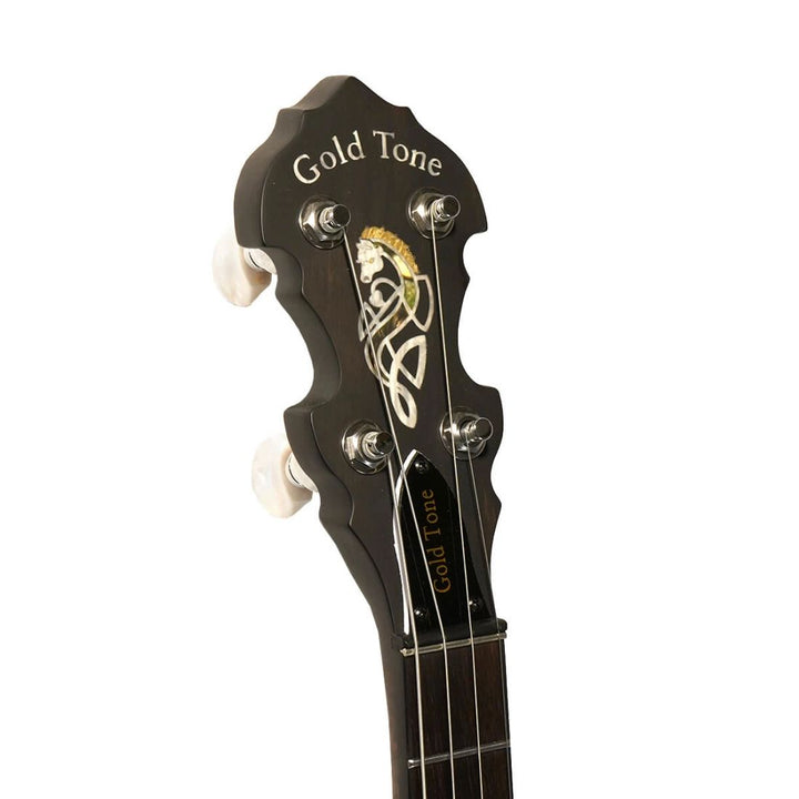 Gold Tone Irish Tenor Banjo with 17 Frets and Gig Bag