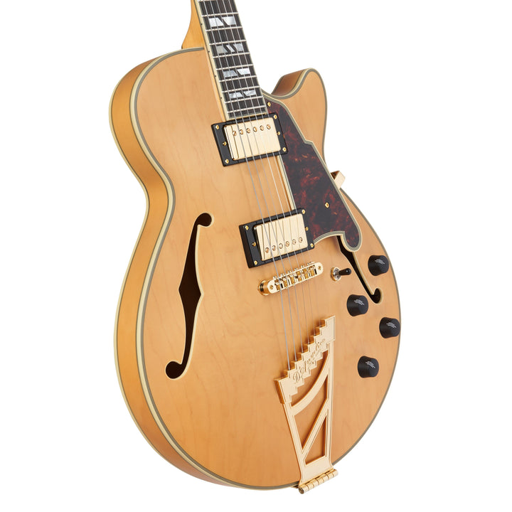 D'Angelico Single Cutaway