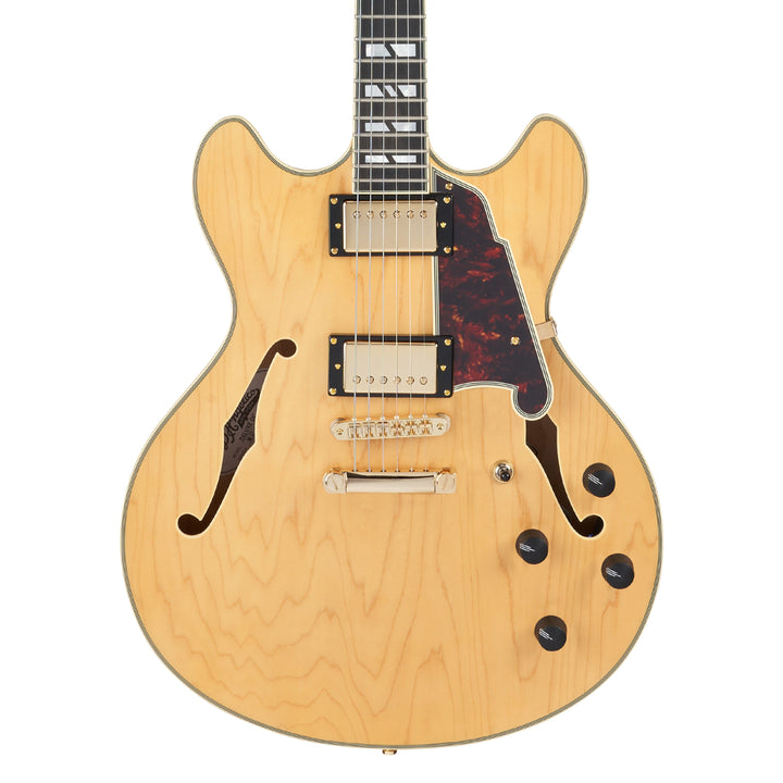 D'Angelico Double Cutaway