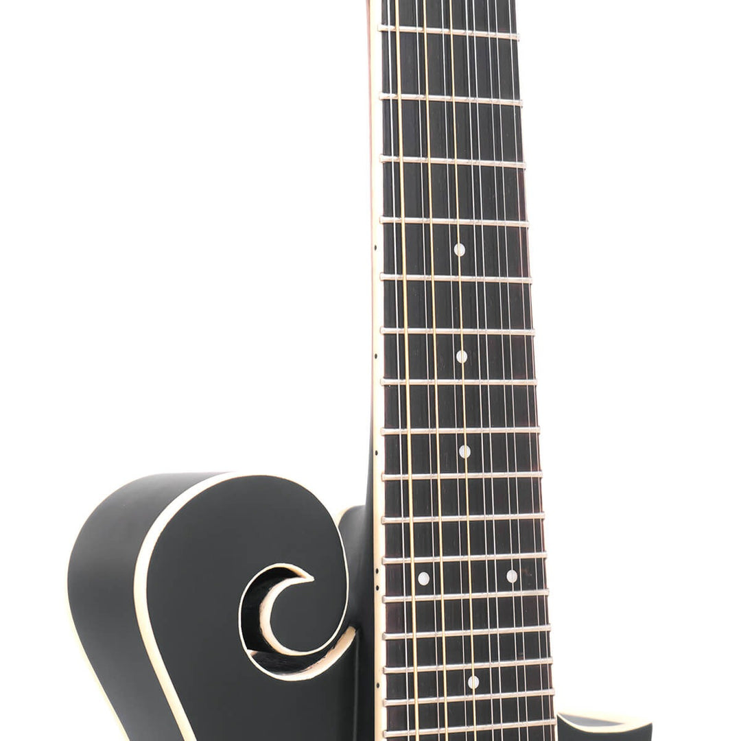Gold Tone 12-string F-style Mando-Guitar with Pickup and Case