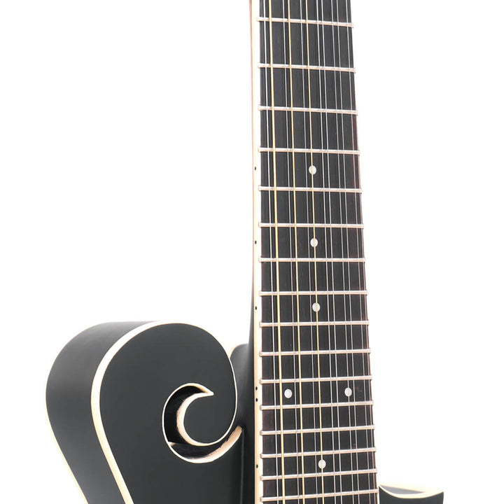 Gold Tone 12-string F-style Mando-Guitar with Pickup and Case