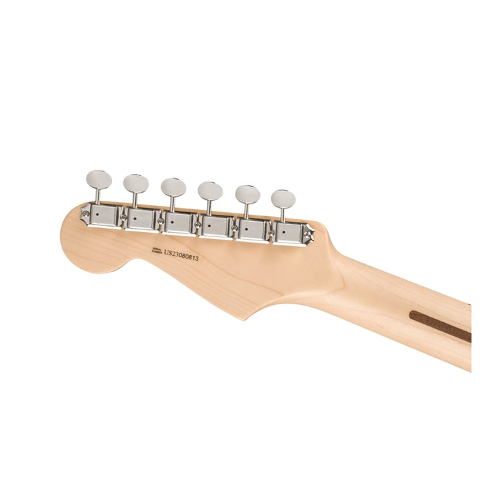 Fender Eric Clapton Signature Stratocaster (Pewter - Maple ) Electric Guitar