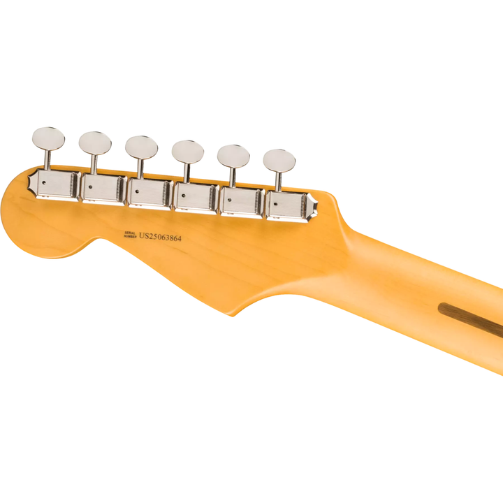 Fender American Professional Classic Stratocaster® HSS -  Maple Fingerboard -  Faded Black