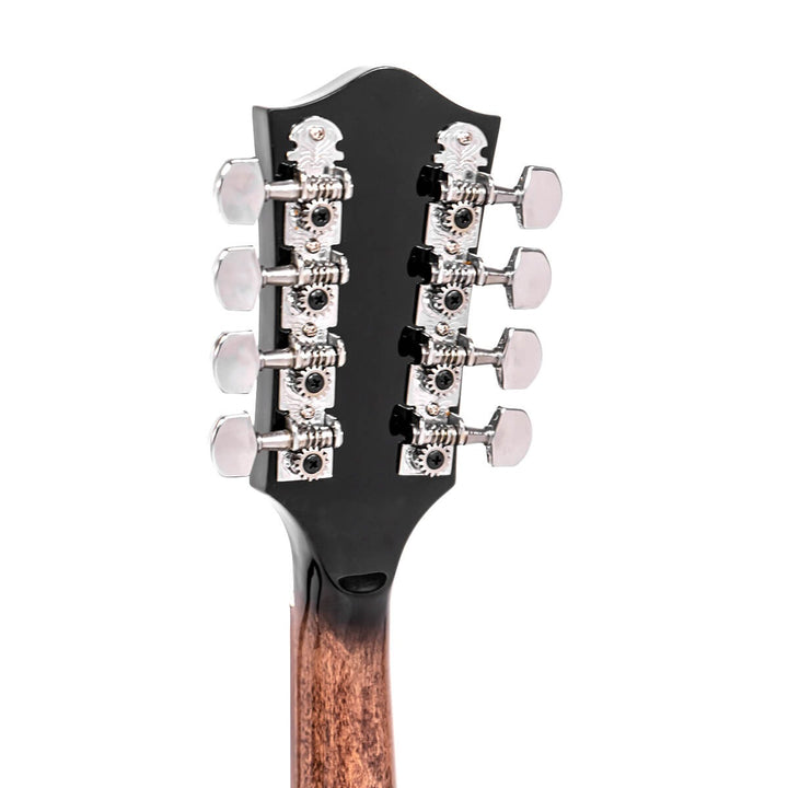 Gold Tone Mandolin-Banjo with Bag
