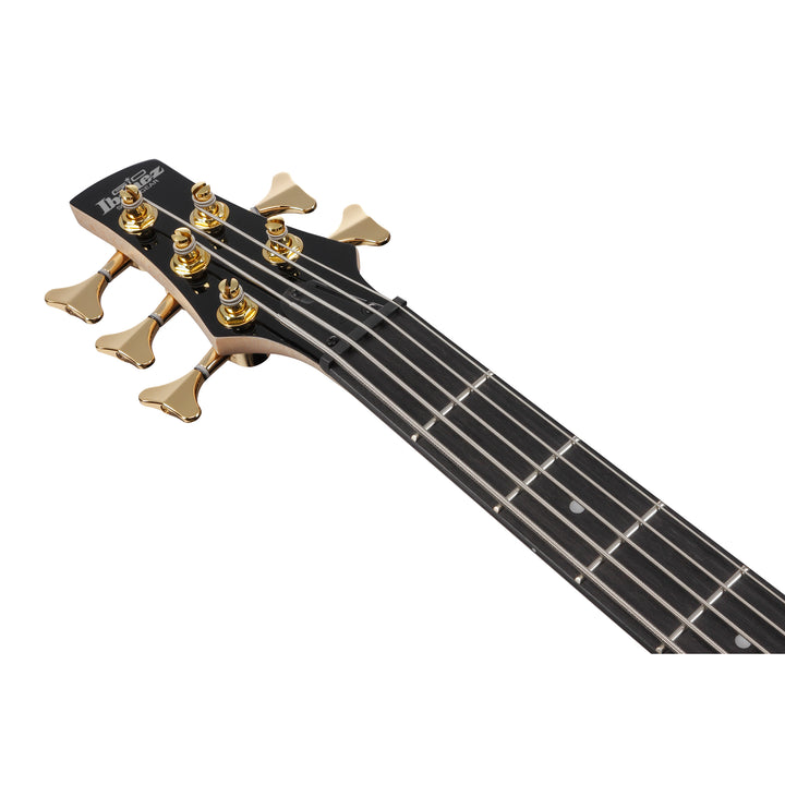Ibanez Gio SR 5-String Bass (Transparent Pale Black Burst) GSR205PCTPB