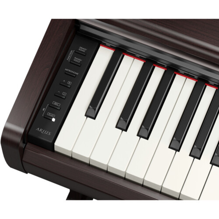 Yamaha YDP146 R 88-Key Dgital Piano (Rosewood)
