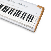 Arturia ASTROLAB88 88 key full-weighted hammer-action stage keyboard