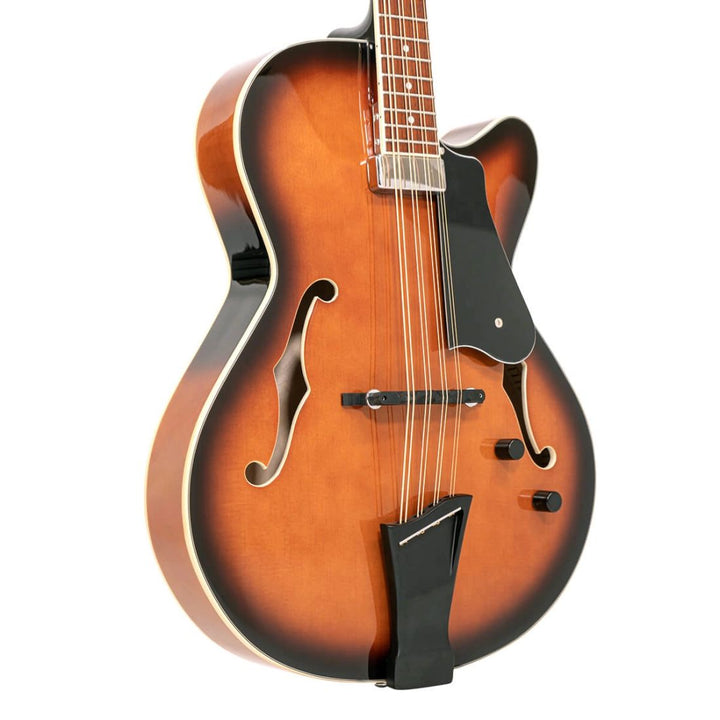 Gold Tone  Mandocello with Pickup and Case