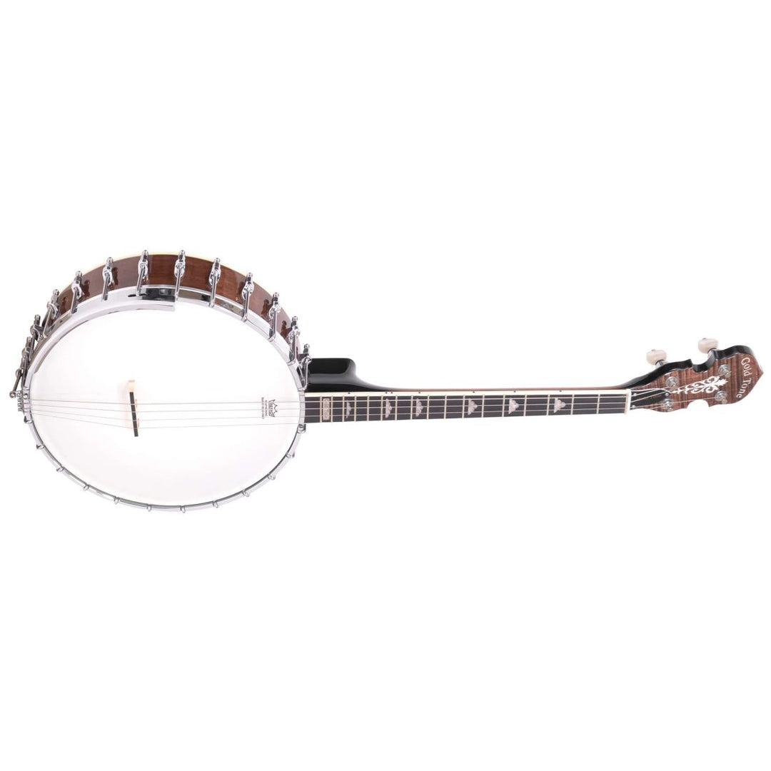 Gold Tone Irish Tenor Banjo with Case