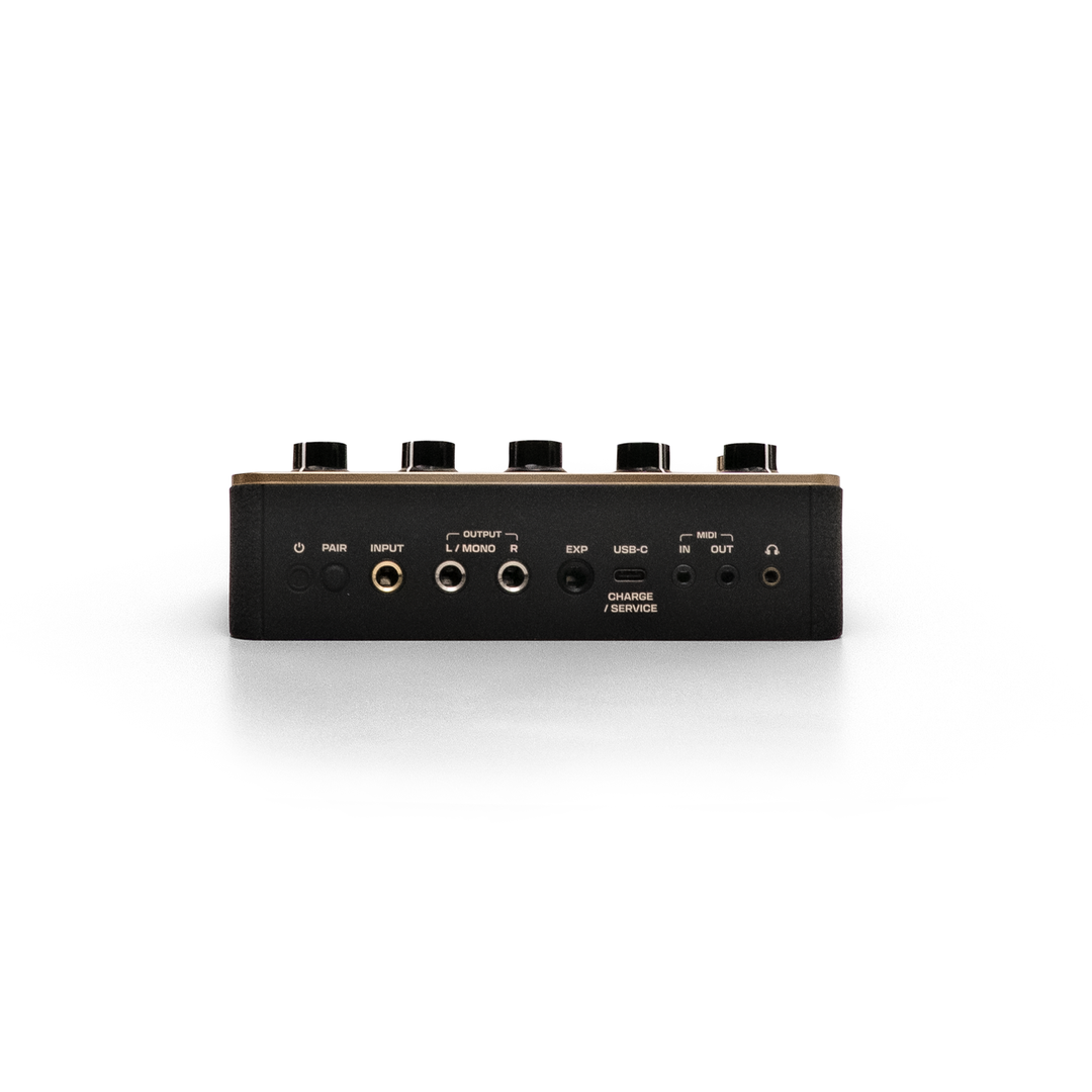 Positive Grid Spark Pedal