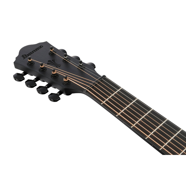 Ibanez Acoustic/Electric (Black Out) AEG721BOT
