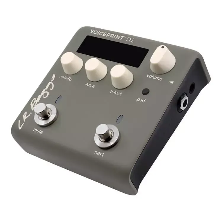 L.R Baggs Voiceprint DI Acoustic Guitar Impulse Response Pedal