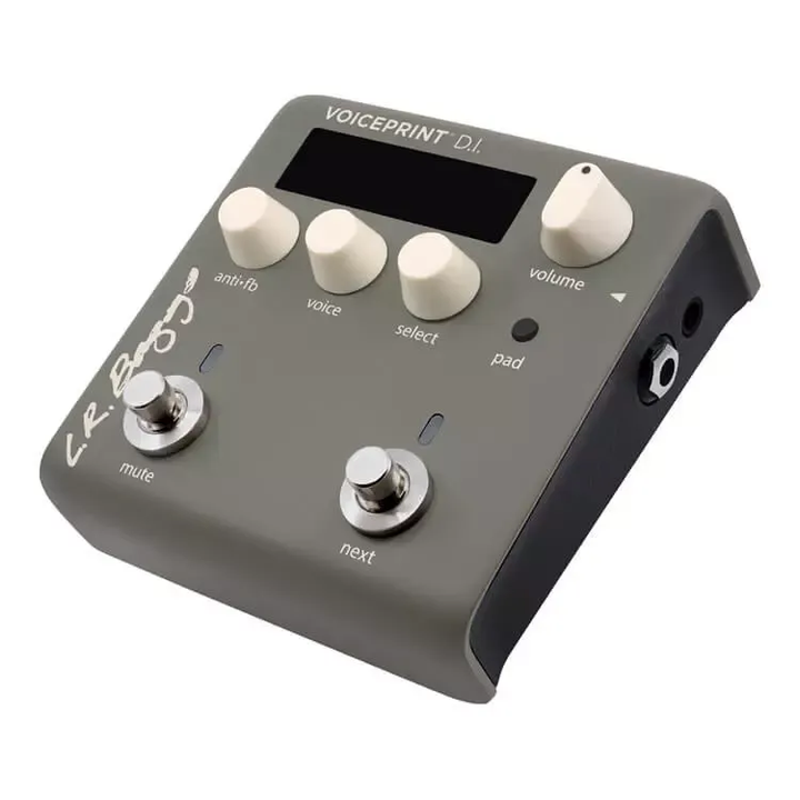 L.R Baggs Voiceprint DI Acoustic Guitar Impulse Response Pedal