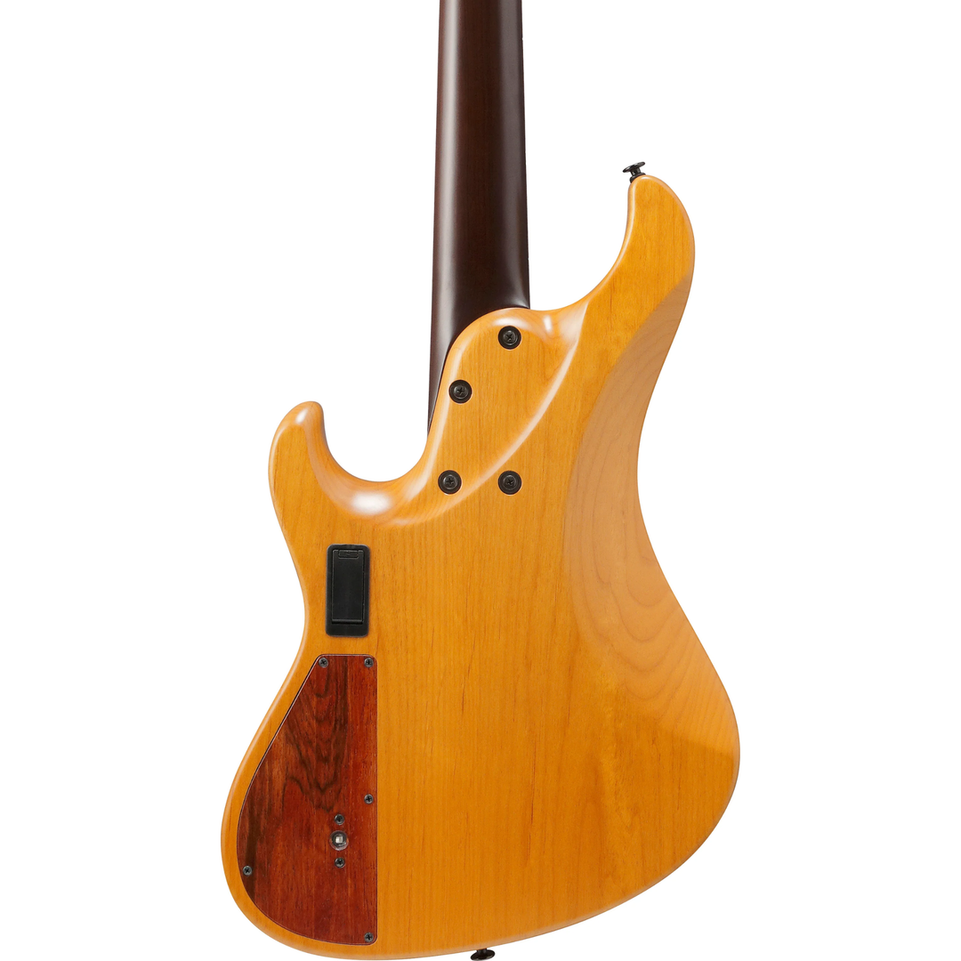 Ibanez IV2MDM MDM Visions Japan Custom Shop 5 Strings Electric Bass (Natural)