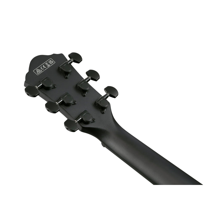 Ibanez Acoustic/Electric (Black Out) AEWC621BOT