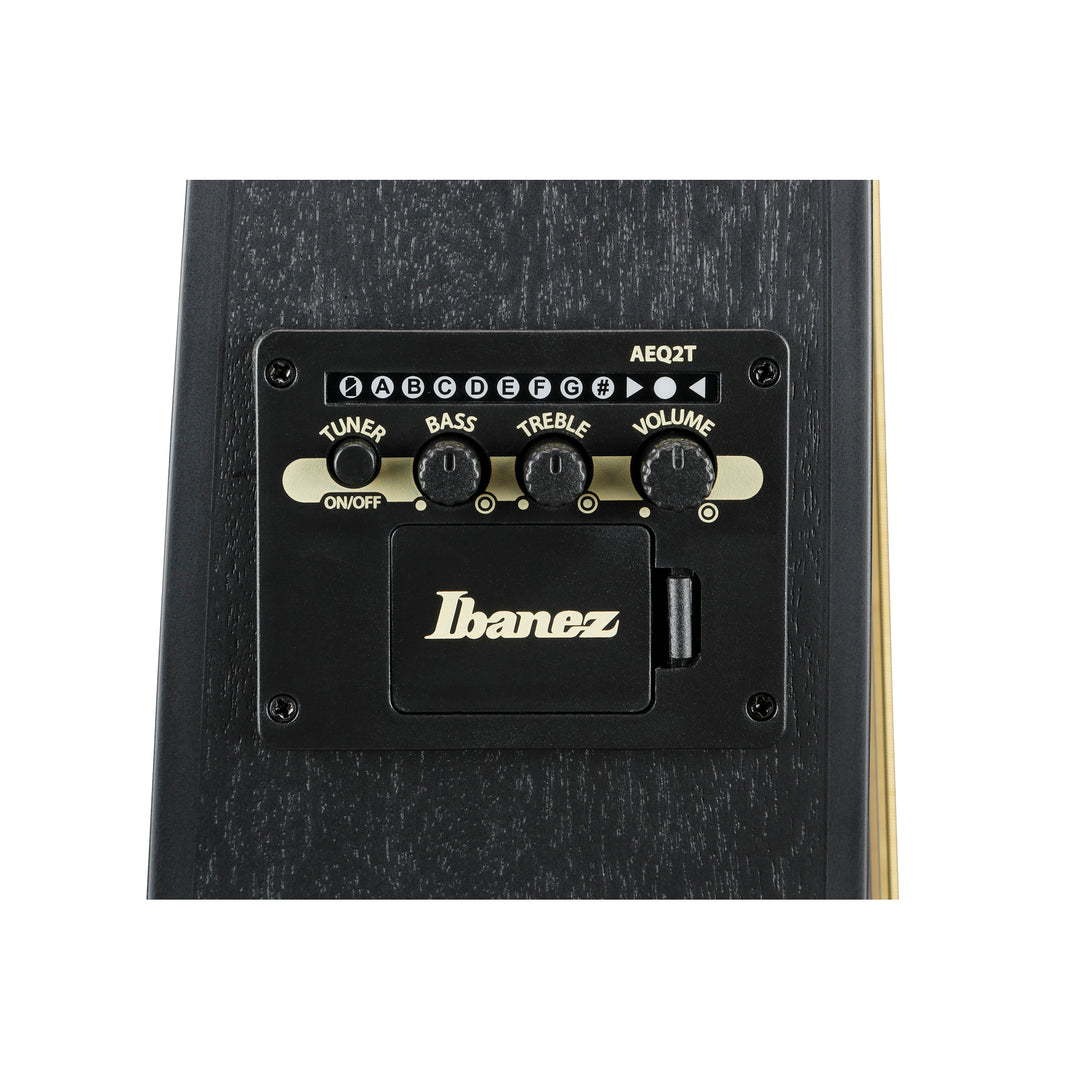 Ibanez Acoustic-Electric (Black Out) TCY621BOT
