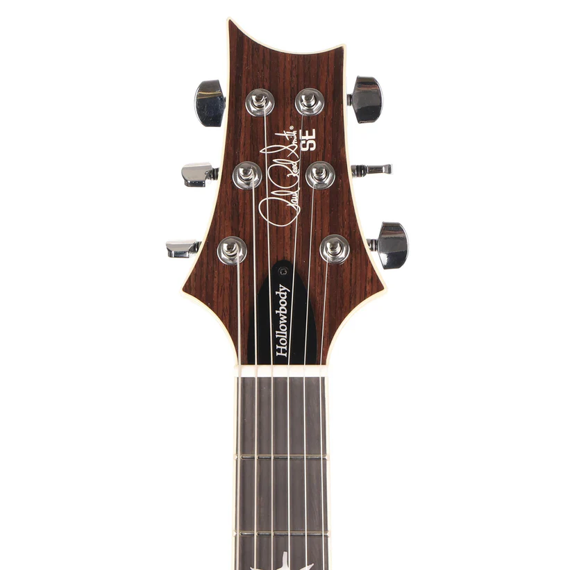 PRS SE Hollowbody Standard Piezo (Dog Hair Smokeburst)  w/ Hardshell Case