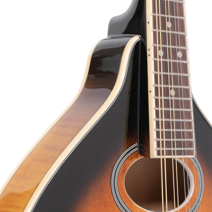 Gold Tone GM-50+ A-Style Mandolin with Pickup