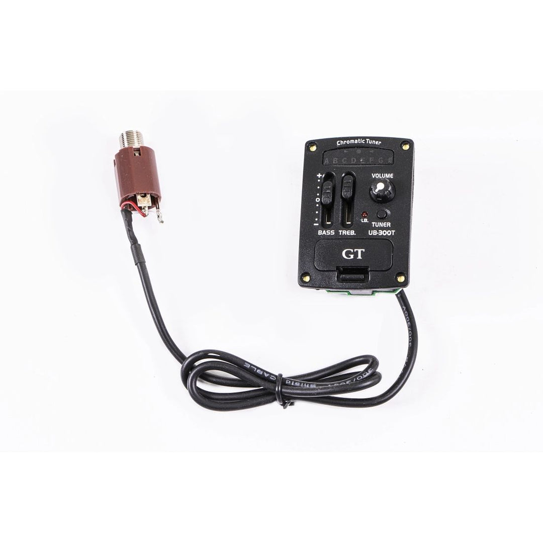 Gold Tone Mbass Preamp