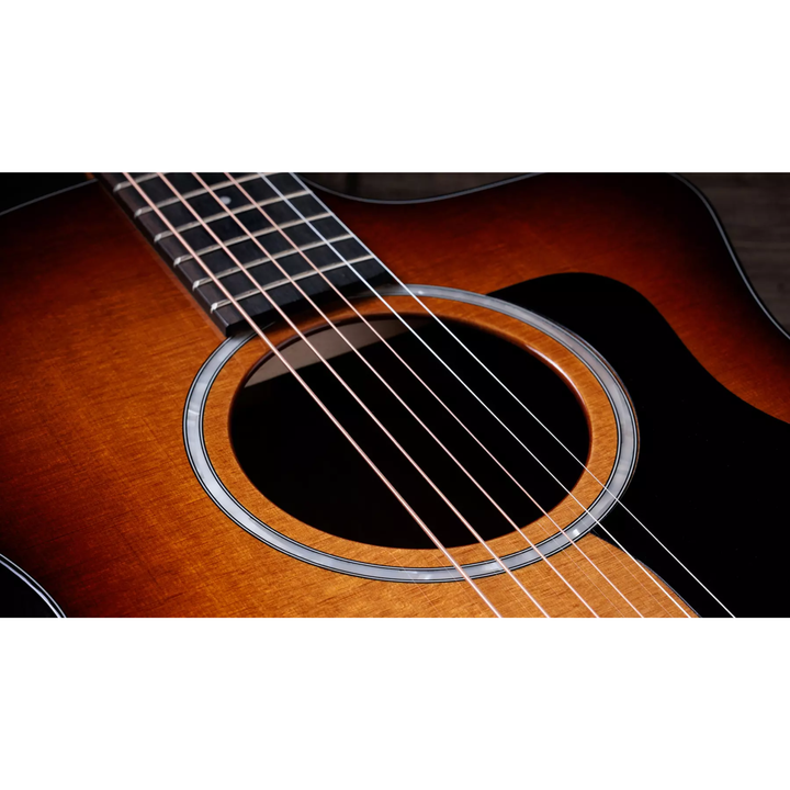 Taylor 214ce-K SB Plus Acoustic Guitar